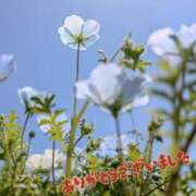 ヒメ日記 2026/08/04 22:16 投稿 ルア【ふんわり笑顔のご奉仕天使】 ドＭなバニーちゃん小倉店