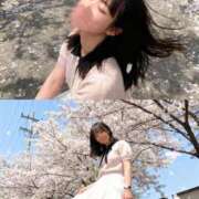 ヒメ日記 2026/06/12 12:49 投稿 あおい★未経験×Fカップ美少女 渋谷S級素人清楚系デリヘル chloe