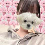 ヒメ日記 2026/06/26 19:19 投稿 あおい★未経験×Fカップ美少女 渋谷S級素人清楚系デリヘル chloe