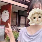 ヒメ日記 2026/08/10 17:13 投稿 あおい★未経験×Fカップ美少女 渋谷S級素人清楚系デリヘル chloe