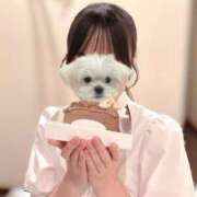 ヒメ日記 2026/08/15 22:12 投稿 あおい★未経験×Fカップ美少女 Chloe五反田本店　S級素人清楚系デリヘル