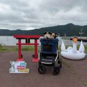 ヒメ日記 2026/06/10 20:59 投稿 のあ 町田人妻浮気現場