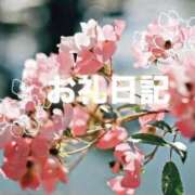 ヒメ日記 2026/05/14 07:21 投稿 めい Felice(フェリス)