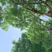 めい 晴れ Felice(フェリス)