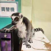 ヒメ日記 2026/07/23 11:35 投稿 えりこ 栃木宇都宮ちゃんこ