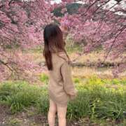 ヒメ日記 2026/05/20 16:04 投稿 みゆ 艶美の人妻沼津店～濃厚オプション無双～