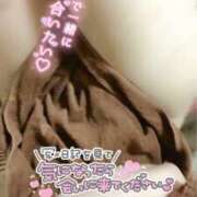 ヒメ日記 2026/07/13 08:17 投稿 すみれ モアグループ宇都宮人妻花壇