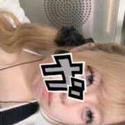 ヒメ日記 2026/06/05 16:28 投稿 むぎ 白いぽっちゃりさん
