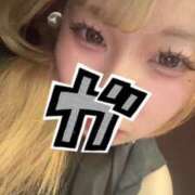 ヒメ日記 2026/06/18 17:18 投稿 むぎ 白いぽっちゃりさん