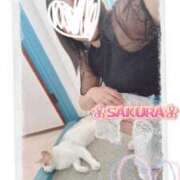 ヒメ日記 2026/06/02 08:04 投稿 さくら 熊谷人妻城