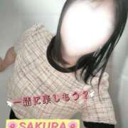 ヒメ日記 2026/07/05 07:41 投稿 さくら 熊谷人妻城