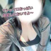 ヒメ日記 2026/07/29 09:21 投稿 さくら 熊谷人妻城