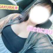 ヒメ日記 2026/08/05 18:29 投稿 さくら 熊谷人妻城