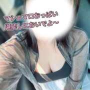 ヒメ日記 2026/08/08 07:13 投稿 さくら 熊谷人妻城