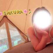 ヒメ日記 2026/09/03 12:03 投稿 さくら 熊谷人妻城