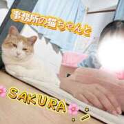 ヒメ日記 2026/09/16 11:43 投稿 さくら 熊谷人妻城