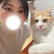 ヒメ日記 2026/10/12 08:02 投稿 さくら 熊谷人妻城