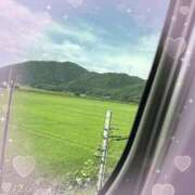 ヒメ日記 2026/07/11 09:01 投稿 岡村れな 華椿