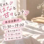 ヒメ日記 2026/10/08 10:21 投稿 はな 人妻の秘密船橋店
