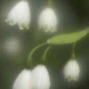ヒメ日記 2026/05/13 03:19 投稿 たまよ 福島駅前ちゃんこ