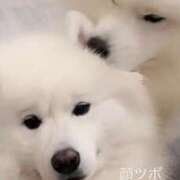 ヒメ日記 2026/10/11 15:58 投稿 まこ 新橋Sweets（スウィーツ）