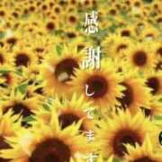 ヒメ日記 2026/07/09 17:48 投稿 とうか ギン妻パラダイス 和歌山店