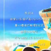 ヒメ日記 2026/07/15 09:48 投稿 とうか ギン妻パラダイス 和歌山店