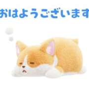 ヒメ日記 2026/06/02 09:50 投稿 ようこ ラブレター