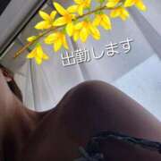 ヒメ日記 2026/05/20 10:02 投稿 工藤菜穂 TOKYO五十路マダムin池袋（カサブランカグループ）