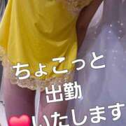 ヒメ日記 2026/06/23 07:31 投稿 工藤菜穂 TOKYO五十路マダムin池袋（カサブランカグループ）