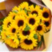 ヒメ日記 2026/05/17 08:23 投稿 ゆずき ぷるるん小町 京橋店