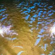 ヒメ日記 2026/07/20 11:20 投稿 ももあ One More奥様 大宮店