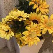 ヒメ日記 2026/09/11 15:20 投稿 ももあ One More奥様 大宮店