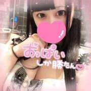 ヒメ日記 2026/08/12 16:53 投稿 あすか 桜色学園