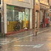 ヒメ日記 2026/05/13 22:01 投稿 りむ 東京リップ 池袋店