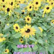 ヒメ日記 2026/08/23 12:47 投稿 紗（さえ） エッチな熟女(熊谷)