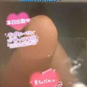 ヒメ日記 2026/08/12 08:36 投稿 Kotone Moment.(モーメント)
