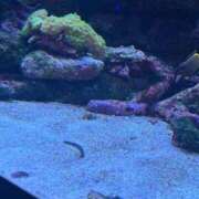 ヒメ日記 2026/06/12 11:16 投稿 そら ジュリアングループ八王子店