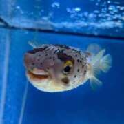 ヒメ日記 2026/07/13 00:46 投稿 そら ジュリアングループ八王子店