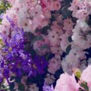 ヒメ日記 2026/06/13 07:34 投稿 今宮亜寿沙 五十路マダム宇都宮店(カサブランカグループ)