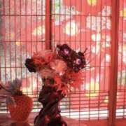 ヒメ日記 2026/06/14 02:16 投稿 今宮亜寿沙 五十路マダム宇都宮店(カサブランカグループ)