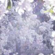 ヒメ日記 2026/06/14 02:20 投稿 今宮亜寿沙 五十路マダム宇都宮店(カサブランカグループ)