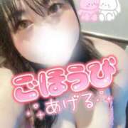 ヒメ日記 2026/07/30 12:18 投稿 くらん ぽっちゃり巨乳素人専門店ぷにめろ西船橋店