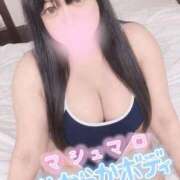ヒメ日記 2026/09/14 13:37 投稿 くらん ぽっちゃり巨乳素人専門店ぷにめろ西船橋店
