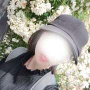 ヒメ日記 2026/06/14 00:14 投稿 りな clubさくら京橋店