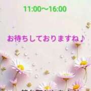 ヒメ日記 2026/06/01 08:43 投稿 東野 錦糸町おかあさん