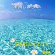 ヒメ日記 2026/06/17 11:50 投稿 東野 錦糸町おかあさん