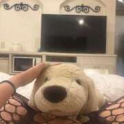 ヒメ日記 2026/05/13 19:31 投稿 まゆな 奥様特急長岡店