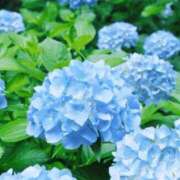 ヒメ日記 2026/06/01 12:53 投稿 体験アヤノ ミセスコレクション