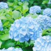 ヒメ日記 2026/06/08 15:03 投稿 体験アヤノ ミセスコレクション